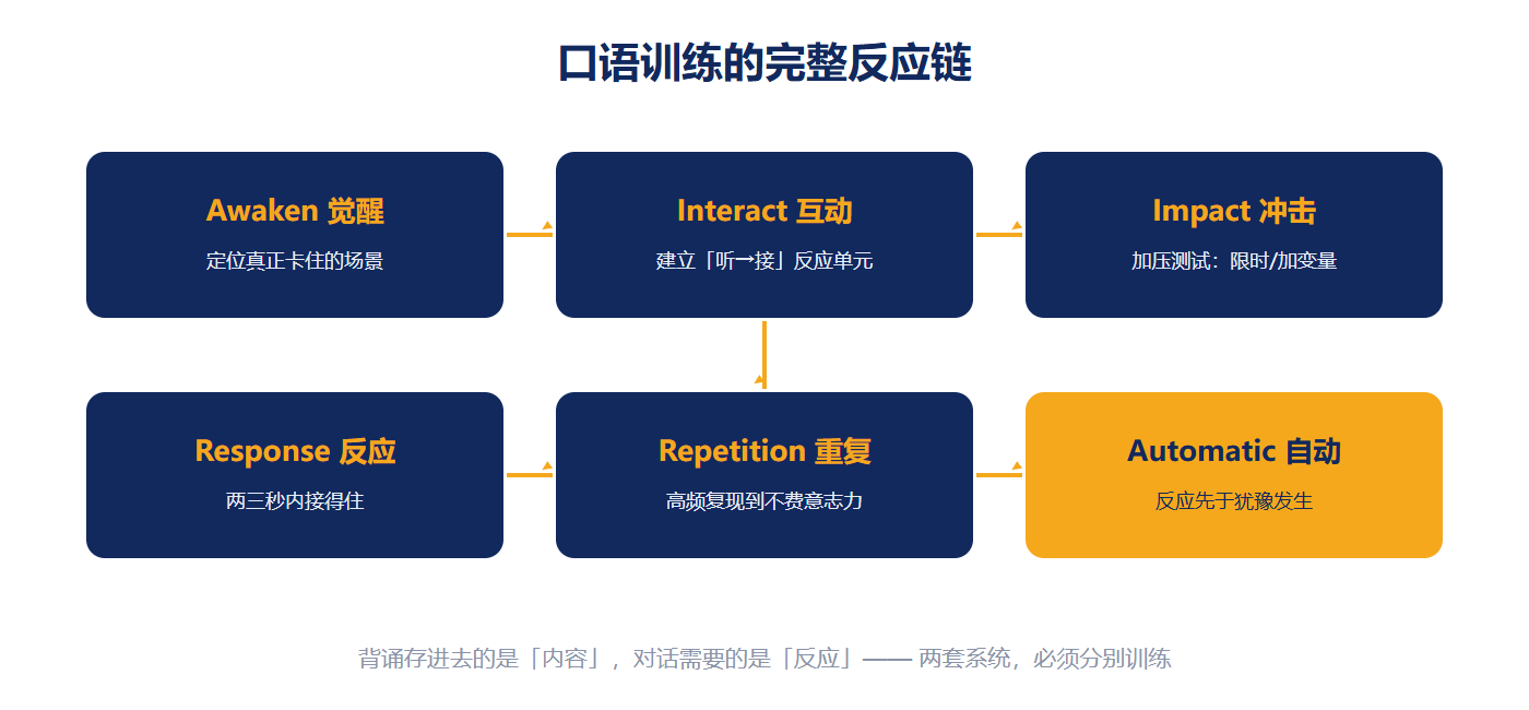 口语训练的完整反应链